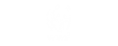 45 WWF