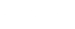 49 XRVision